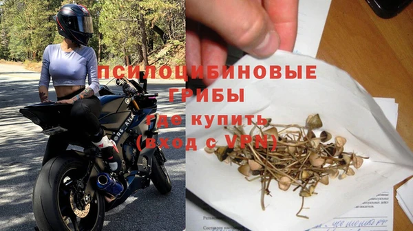 тгк Гусь-Хрустальный