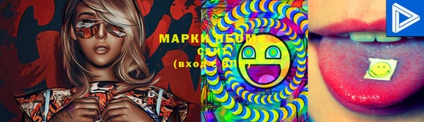 тгк Гусь-Хрустальный